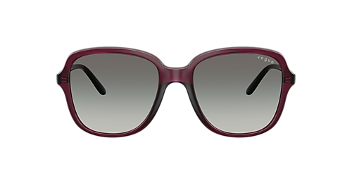 VO5601S